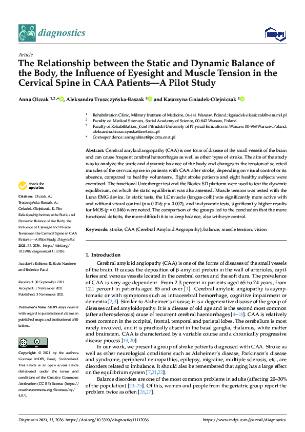 (PDF) The Relationship between the Static and Dynamic Balance of the ...