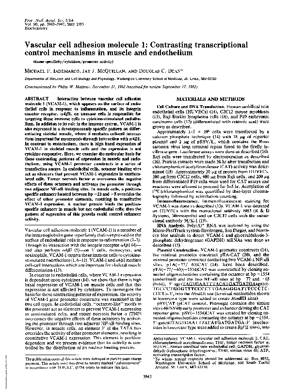 (PDF) Vascular cell adhesion molecule 1: contrasting transcriptional ...