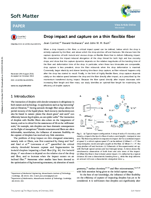 (PDF) Drop impact and capture on a thin flexible fiber
