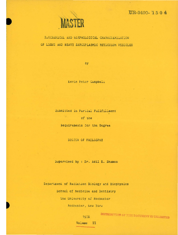 (PDF) Biochemical and morphological characterization of the nuclear ...