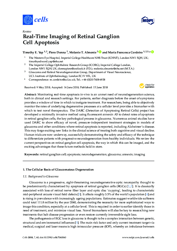 (PDF) Realtime Imaging of Retinal Ganglion Cell Apoptosis
