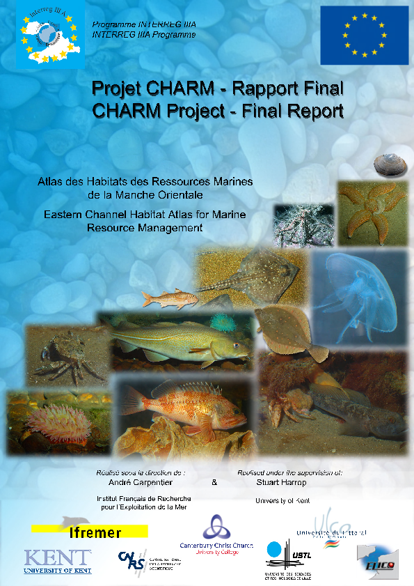 (PDF) Projet CHARM - Rapport Final = CHARM Project - Final Report ...