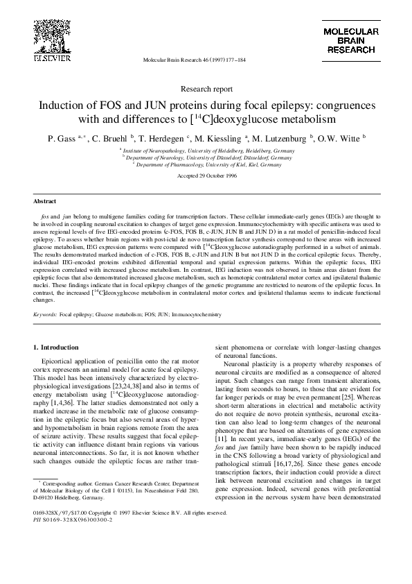 (PDF) Induction of FOS and JUN proteins during focal epilepsy ...