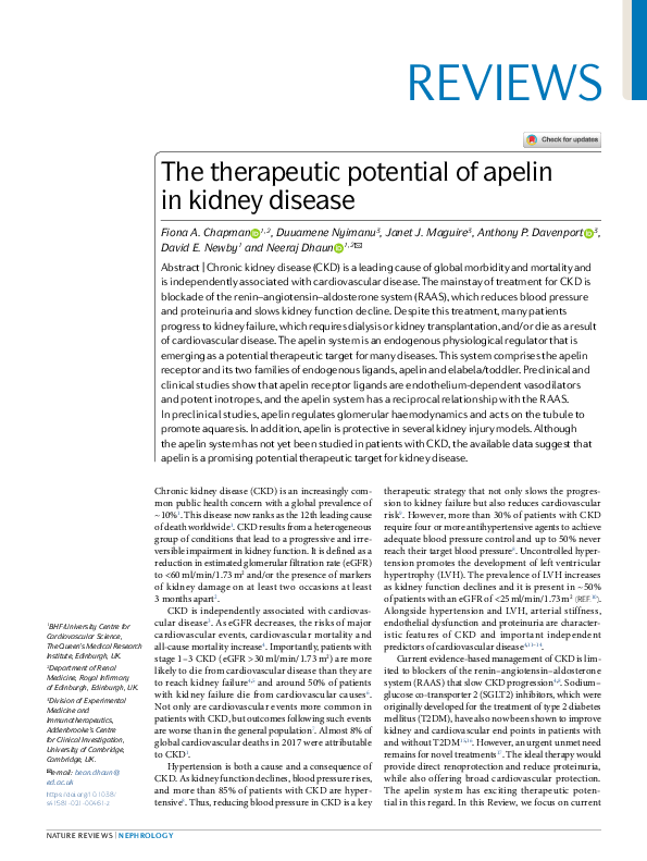 (PDF) The therapeutic potential of apelin in kidney disease
