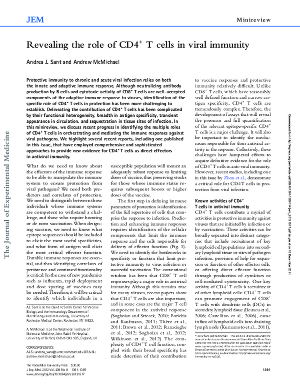 (PDF) Revealing the role of CD4+ T cells in viral immunity
