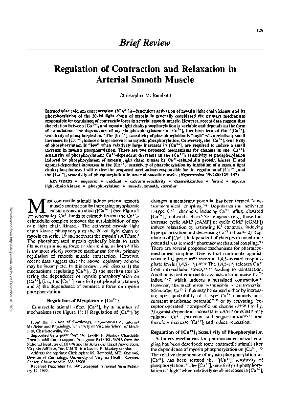 (PDF) Regulation of contraction and relaxation in arterial smooth muscle