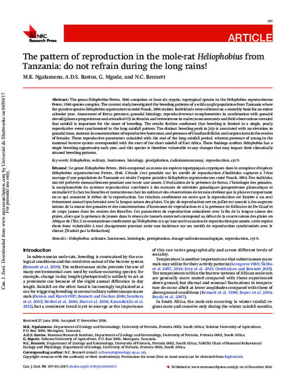 (PDF) The pattern of reproduction in the mole-rat Heliophobius from ...