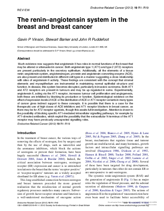 (PDF) The renin-angiotensin system in the breast and breast cancer