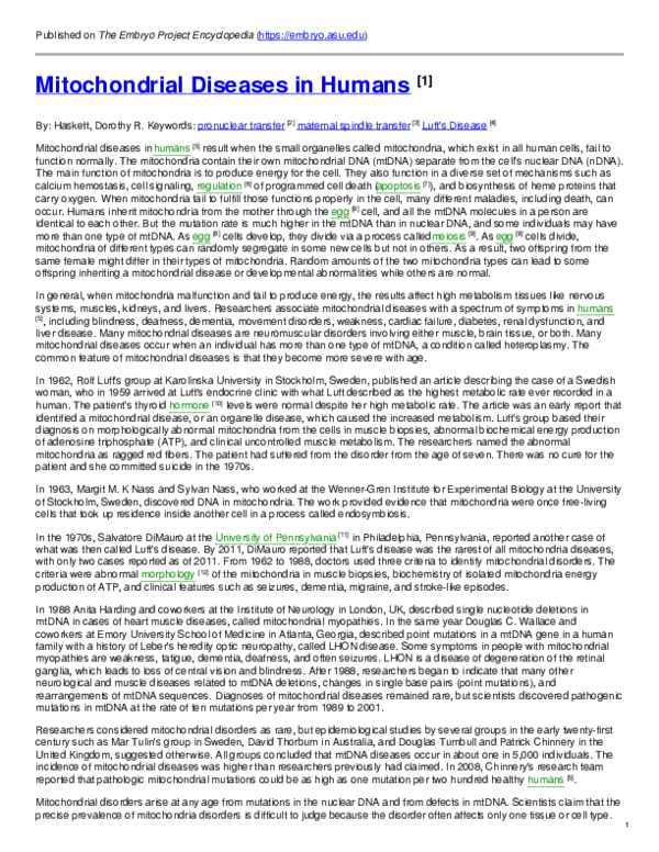 (PDF) Mitochondrial Diseases in Humans