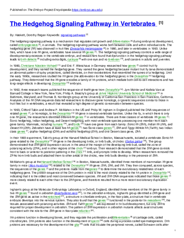 (PDF) The Hedgehog Signaling Pathway in Vertebrates