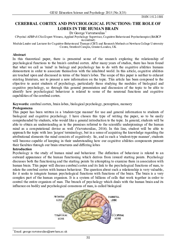 (PDF) Cerebral Cortex and Psychological Functions: The Role of Lobes in ...