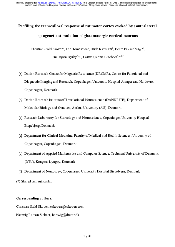 (PDF) Profiling the transcallosal response of rat motor cortex evoked ...