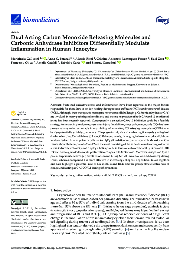 (PDF) Dual Acting Carbon Monoxide Releasing Molecules and Carbonic ...
