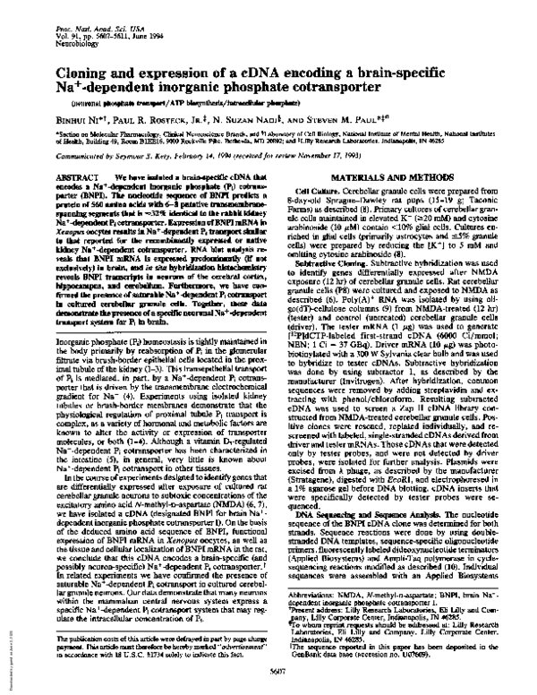 (PDF) Cloning and expression of a cDNA encoding a brain-specific Na ...