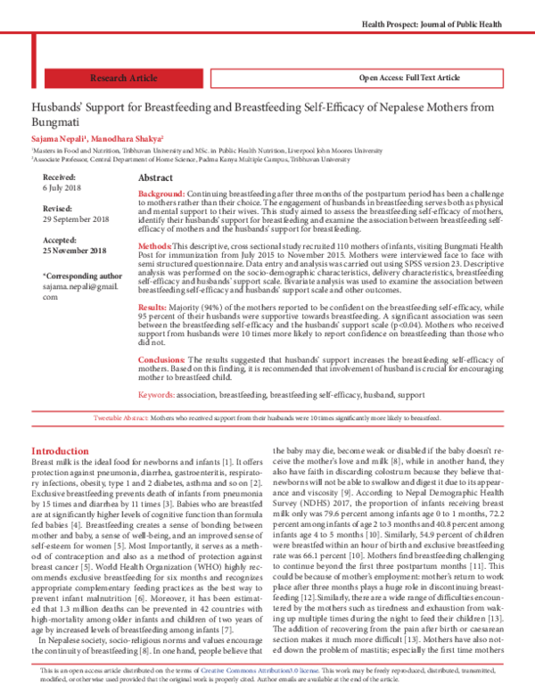  PDF Husband s Support For Breastfeeding And Breastfeeding Efficacy Of 