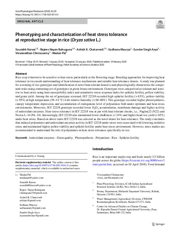 (PDF) Phenotyping and characterization of heat stress tolerance at ...