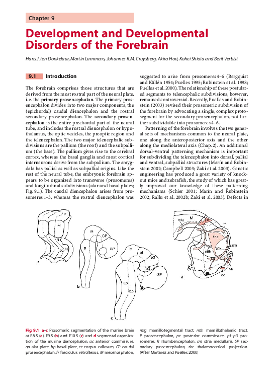 (PDF) Development and Developmental Disorders of the Forebrain