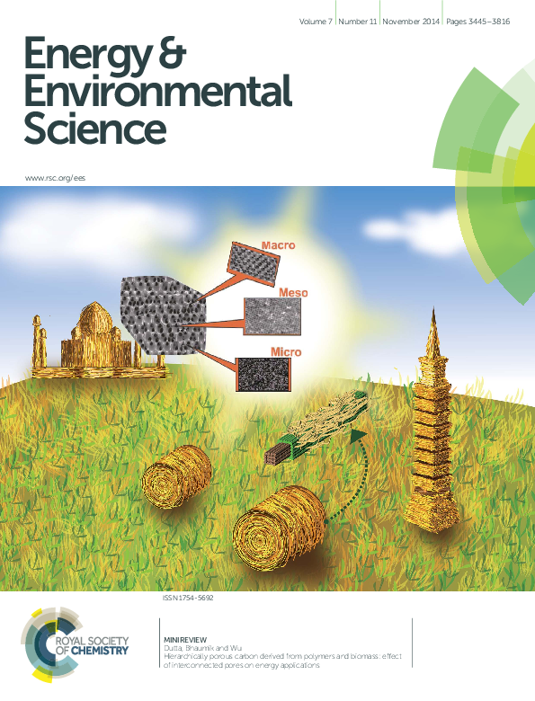 (PDF) Hierarchically porous carbon derived from polymers and biomass ...