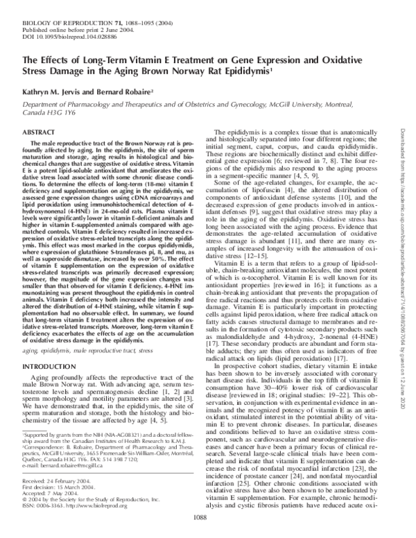 (PDF) The Effects of Long-Term Vitamin E Treatment on Gene Expression ...