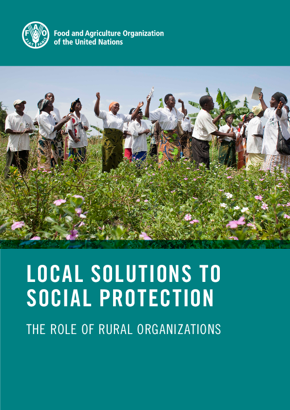 (PDF) Local solutions to social protection: the role of rural organizations