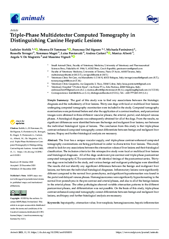 (PDF) Triple-Phase Multidetector Computed Tomography in Distinguishing ...