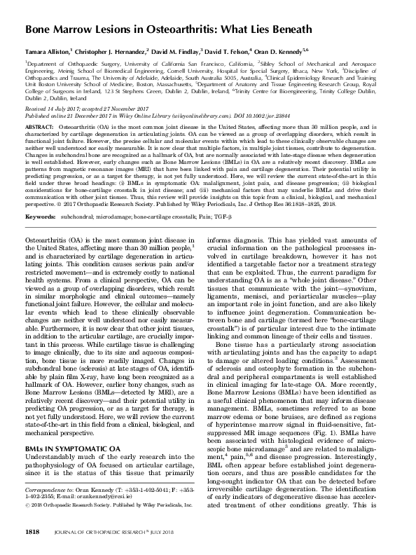 (PDF) Bone Marrow Lesions in Osteoarthritis: What Lies Beneath