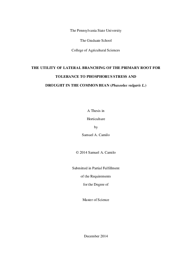 (PDF) the utility of lateral branching of the primary root for ...
