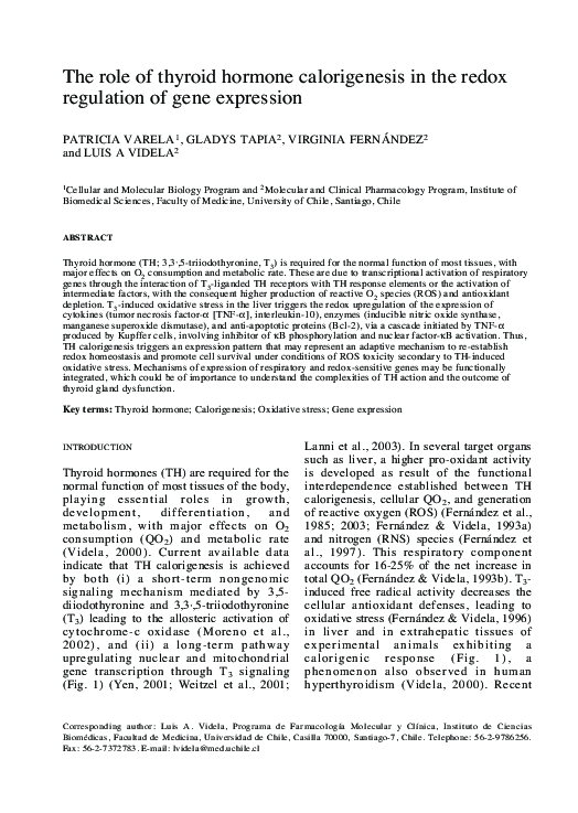 (PDF) B R The role of thyroid hormone calorigenesis in the redox ...