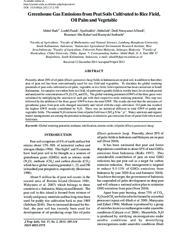 (PDF) Greenhouse Gas Emissions from Peat Soils Cultivated to Rice Field ...