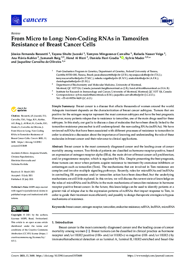 (PDF) From Micro to Long: Non-Coding RNAs in Tamoxifen Resistance of ...