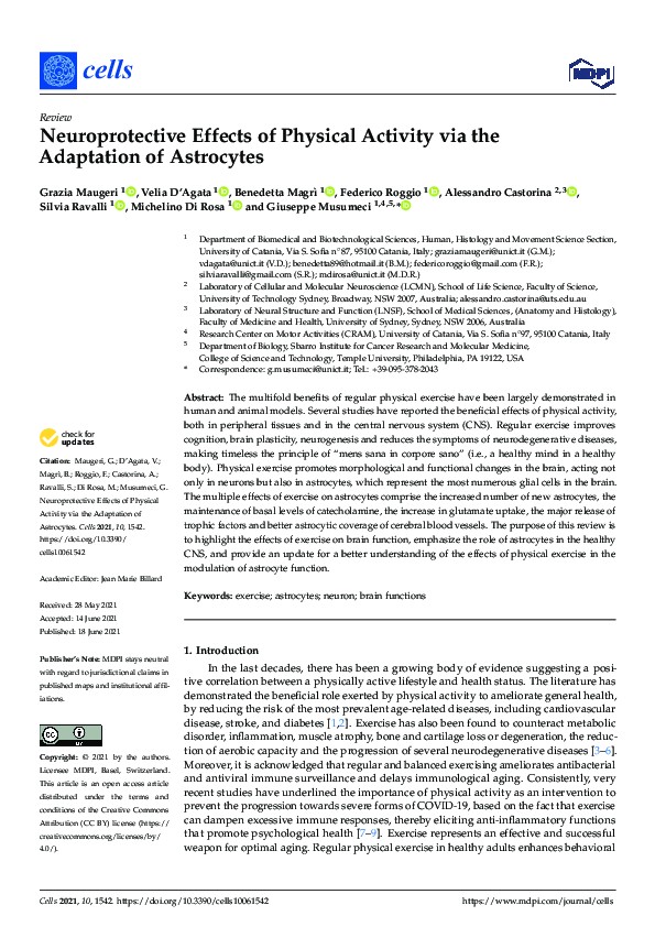 (PDF) Neuroprotective Effects of Physical Activity via the Adaptation ...