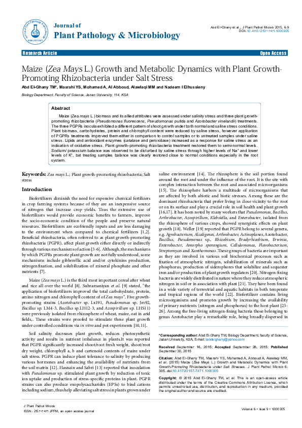 (PDF) Maize (Zea Mays L.) Growth and Metabolic Dynamics with Plant ...