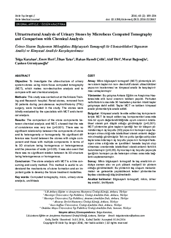 (PDF) Ultrastructural Analysis of Urinary Stones by Microfocus Computed ...