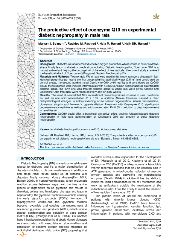 (PDF) The protective effect of coenzyme Q10 on experimental diabetic ...