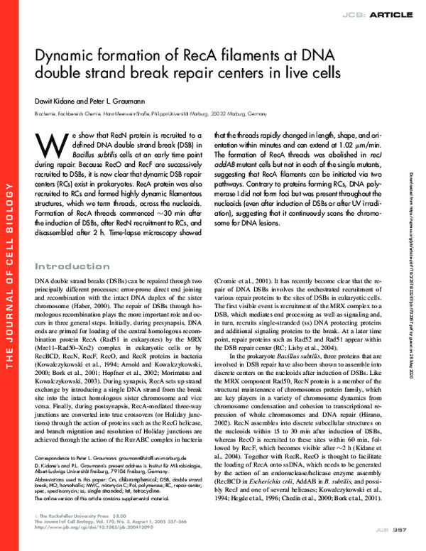 (PDF) Dynamic formation of RecA filaments at DNA double strand break ...