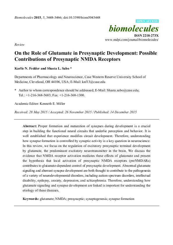 (PDF) On the Role of Glutamate in Presynaptic Development: Possible ...