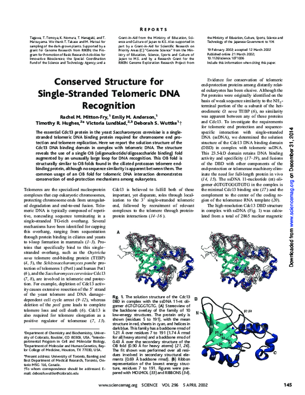 (PDF) Solution Structure of the CDC13 Dna-Binding Domain Complexed with ...