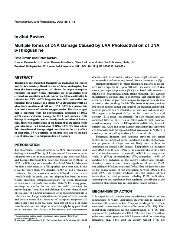 (PDF) Multiple forms of DNA Damage Caused by UVA Photoactivation of DNA ...