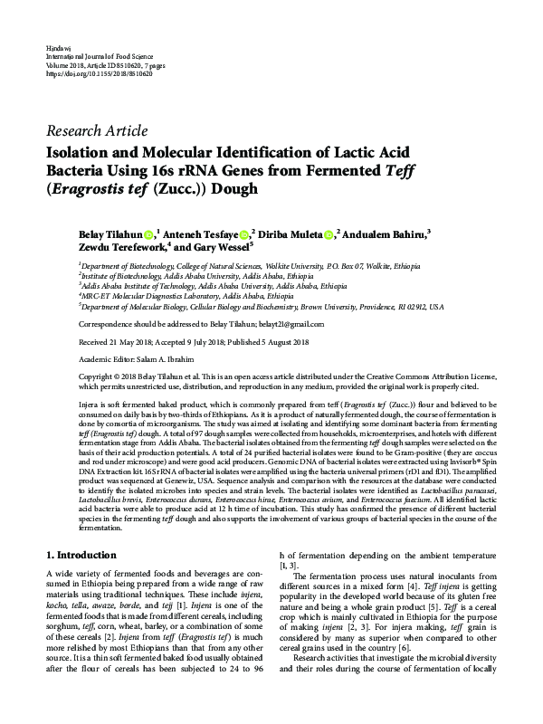 (PDF) Isolation and Molecular Identification of Lactic Acid Bacteria ...