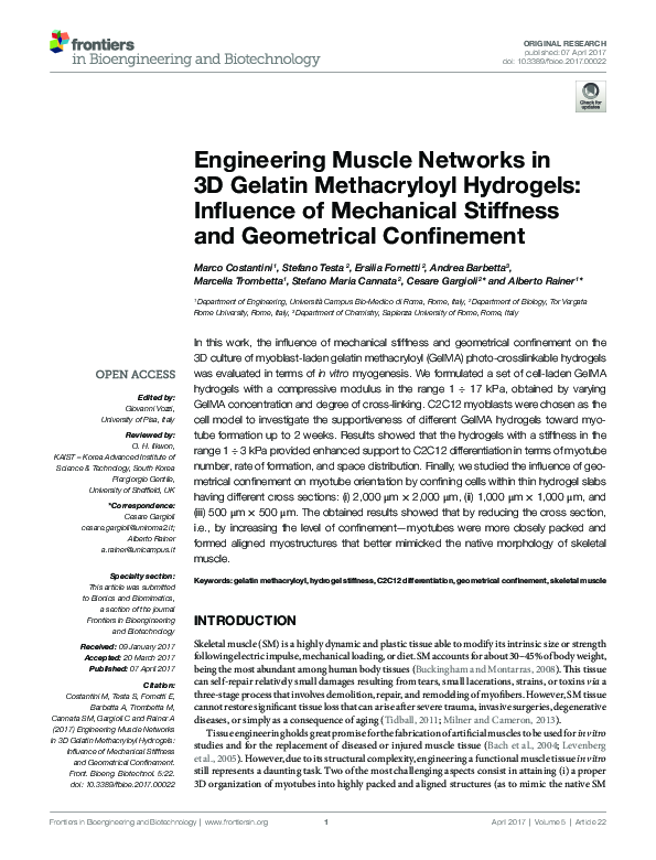 (PDF) Engineering Muscle Networks in 3D Gelatin Methacryloyl Hydrogels ...
