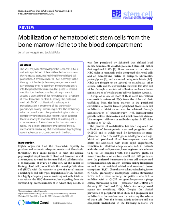 (PDF) Mobilization of hematopoietic stem cells from the bone marrow ...