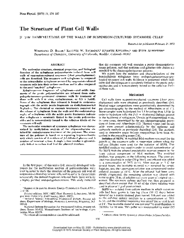 (PDF) The Structure of Plant Cell Walls: II. The Hemicellulose of the ...