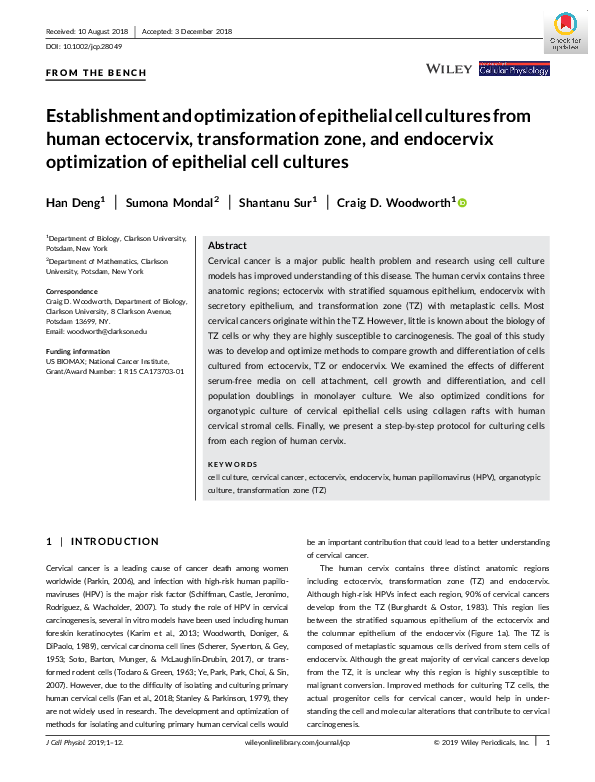 (PDF) Establishment and optimization of epithelial cell cultures from ...