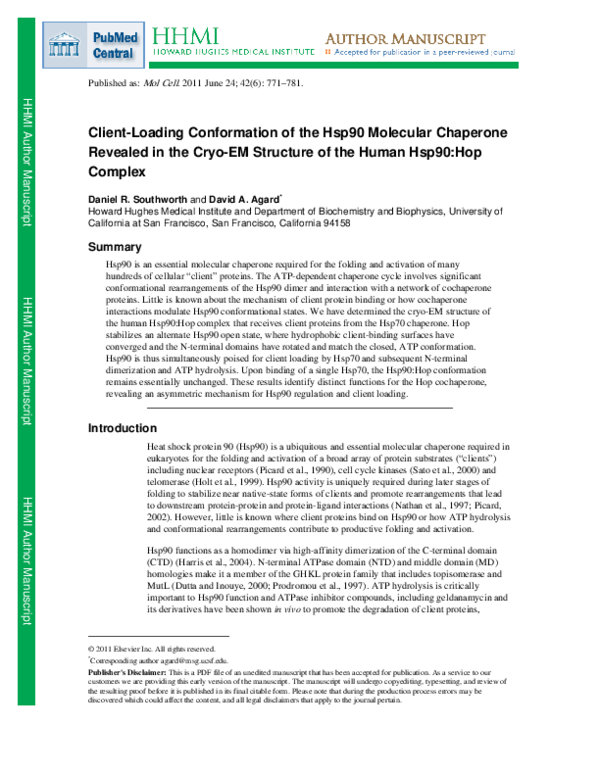 (PDF) Client-Loading Conformation of the Hsp90 Molecular Chaperone ...