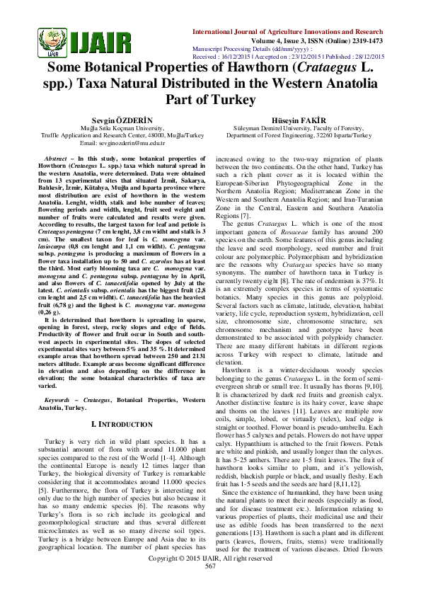 (PDF) Some Botanical Properties of Hawthorn ( Crataegus L . spp ...