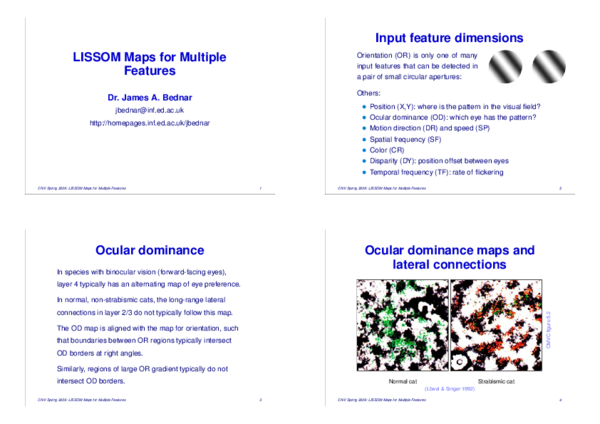 (PDF) LISSOM Maps for Multiple Features
