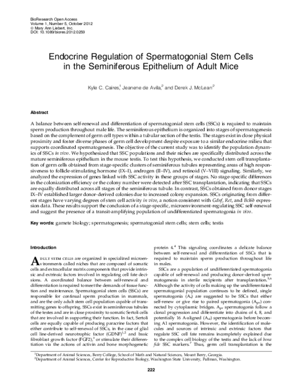 (PDF) Endocrine regulation of the spermatogonial stem cell niche in the ...