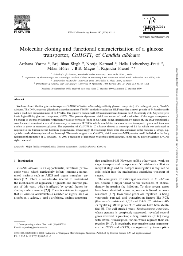 (PDF) MOLECULAR CLONING AND FUNCTIONAL CHARACTERISATION OF SOYBEAN ...