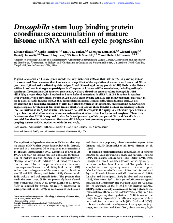 (PDF) Drosophila stem loop binding protein coordinates accumulation of ...