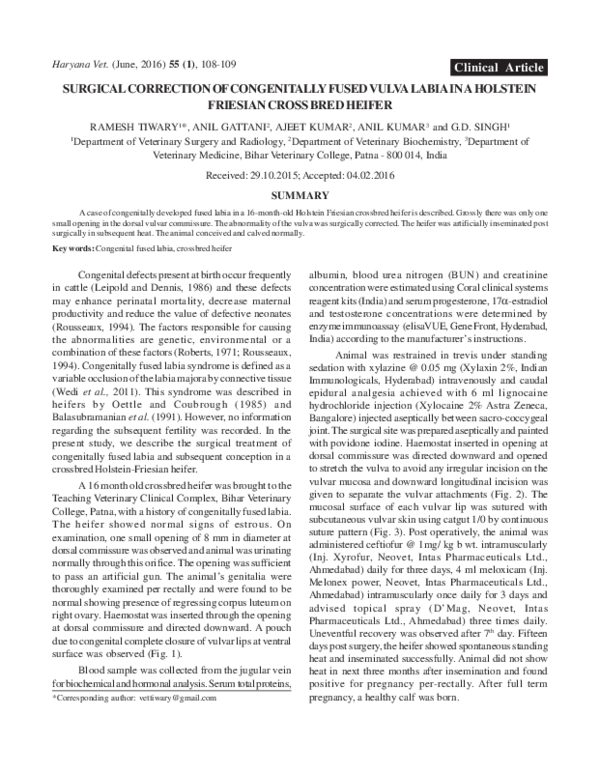 (PDF) Of Congenitally Fused Vulva Labia in a Holstein Friesian Cross